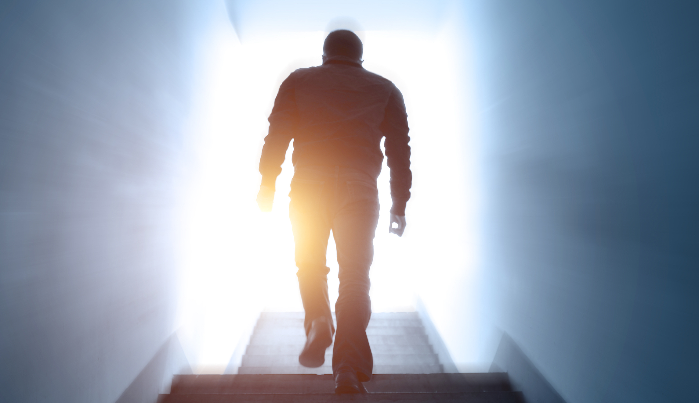 ‘Uninformed idiots’: Book agents reject claim that Victoria Coates is Anonymous author