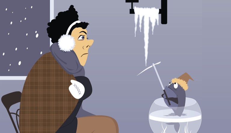 No (cisgender) men allowed