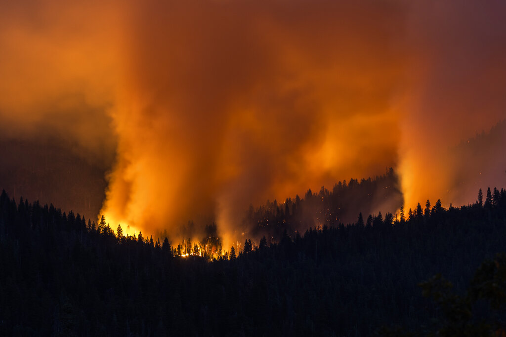 ‘Green’ federal policies creating tinderbox for Yosemite wildfire and others