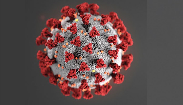 Word of the Week: 'Infodemic'