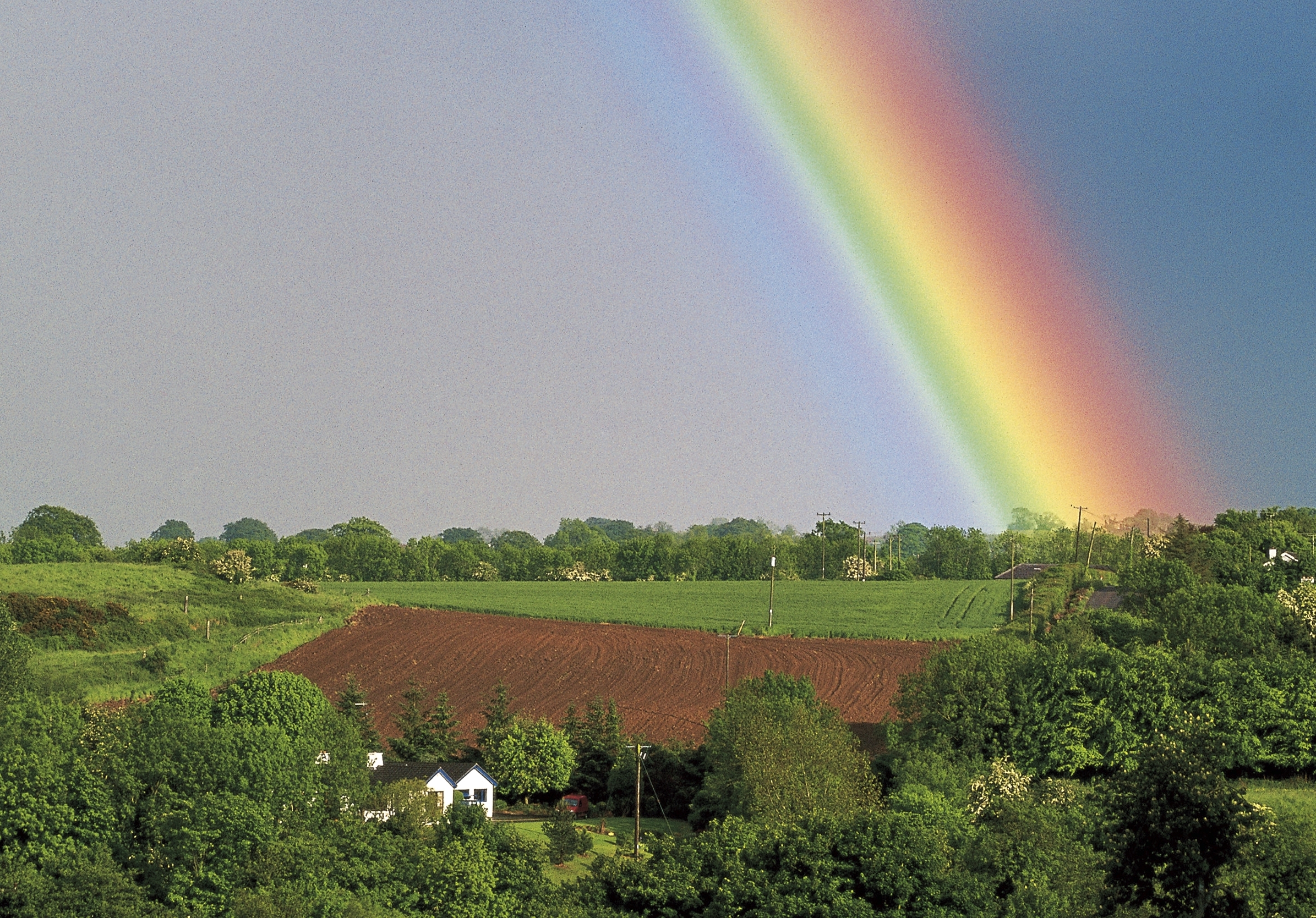 This Land Is My Land