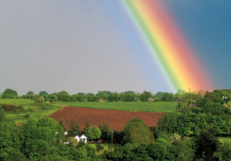 This Land Is My Land