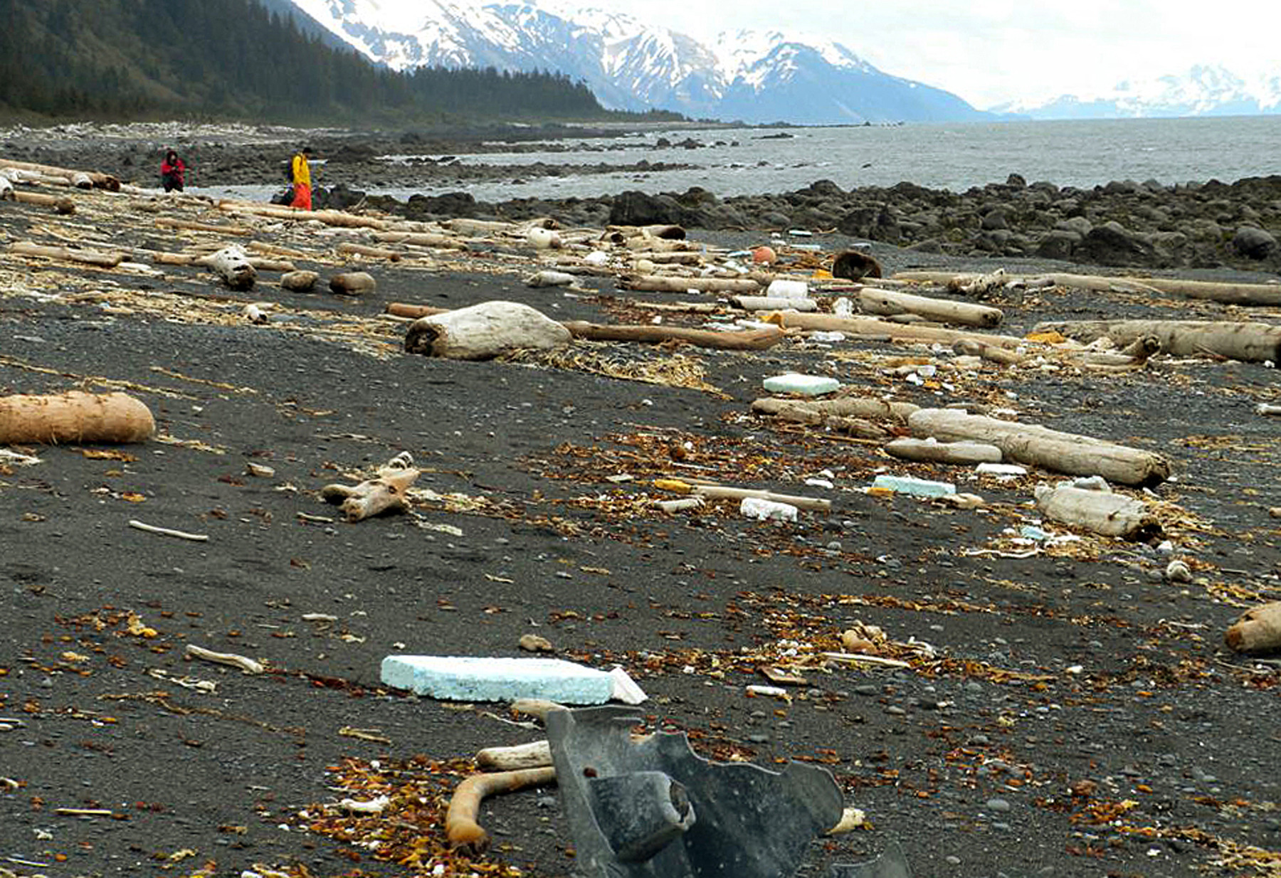US braces for tsunami debris, but impact unclear