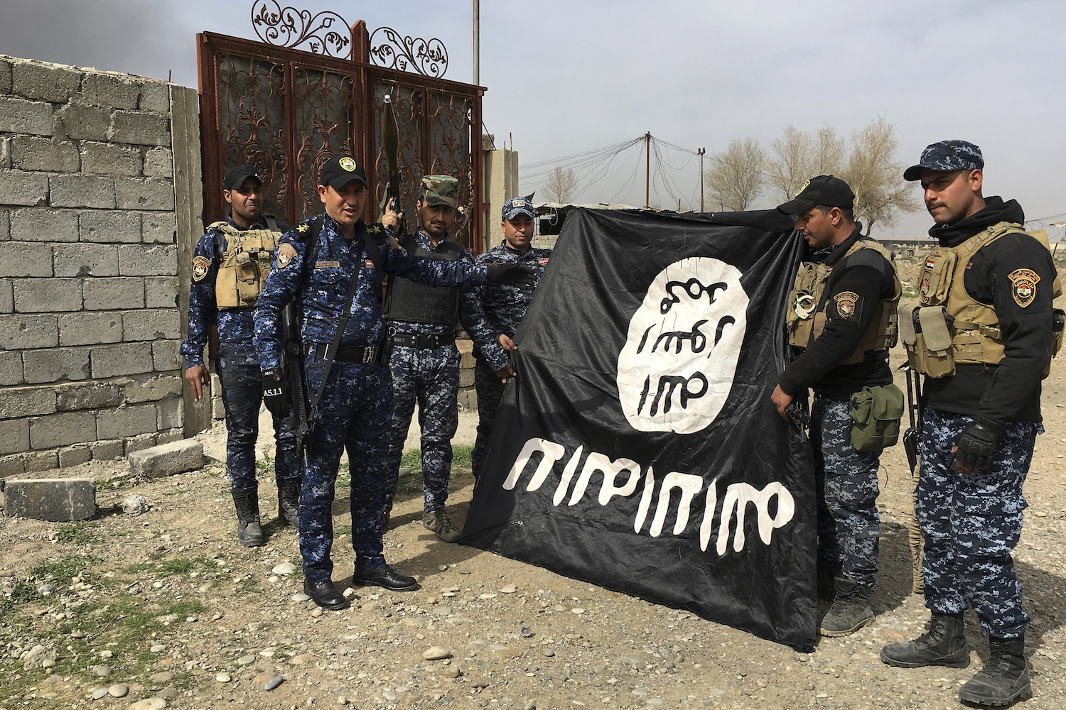 Pentagon delivers options to speed demise of Islamic State