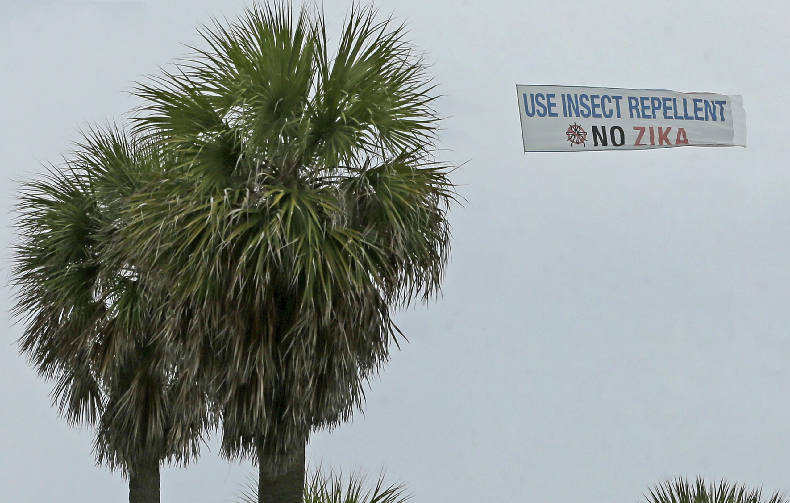 Local Florida Zika cases pass 100