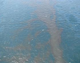 The Costs of a Miscarriage of Justice