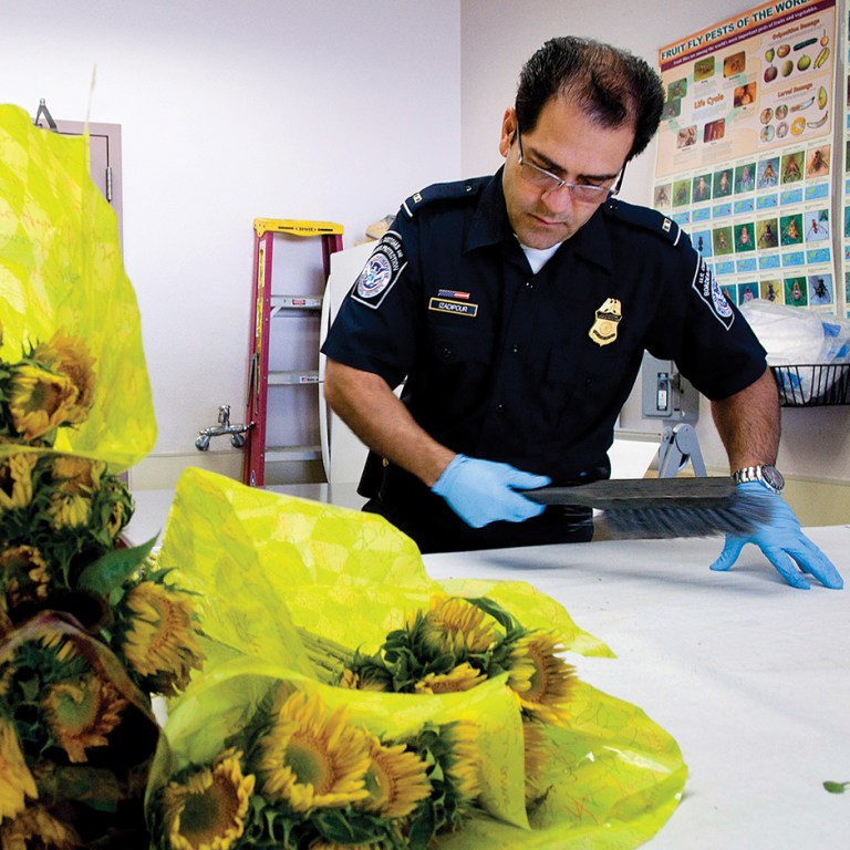 The Other Border Fight