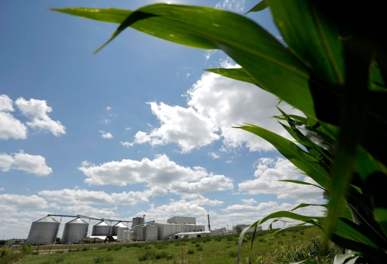 The Renewable Fuels Standard, created by George W. Bush, requires refiners to dilute their gasoline with ethanol, a fuel made from plants -- mostly corn. (AP Photo/Charlie Riedel, File)