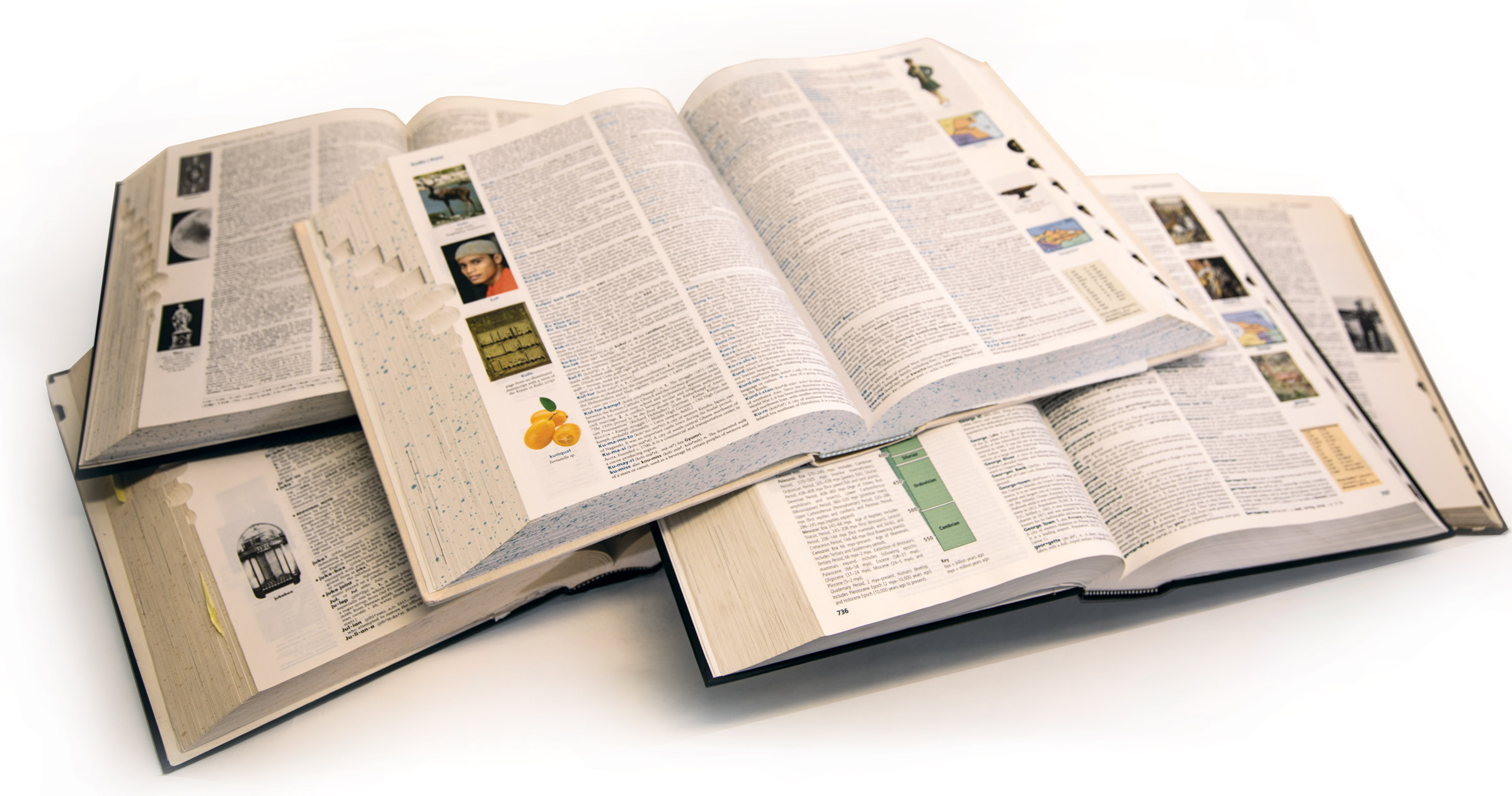 The Dictionary and Us