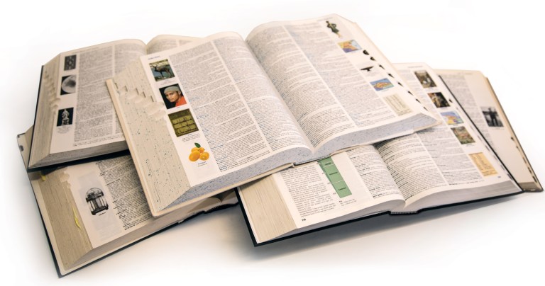 The Dictionary and Us