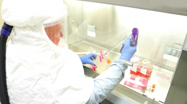 Research Microbiologist Brian Kearney harvests samples of coronavirus in a Biosafety Level 3 laboratory at the U.S. Army Medical Research Institute of Infectious Diseases at Fort Detrick, Md. This virus stock will be used to develop models of infection for coronavirus, as well as diagnostic tests, vaccines and therapeutics. 