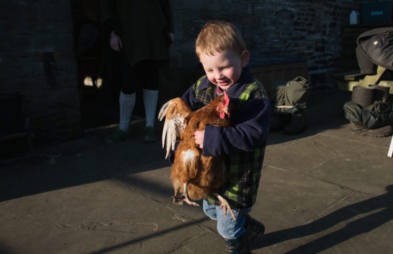 Sydney Owen, 2 carries one of the chickens as he helps to round them up at Ravenseat, the farm of the Yorkshire Shepherdess Amanda Owen on April 15, 2014 near Kirkby Stephen, England. (Photo by Ian Forsyth/Getty Images)