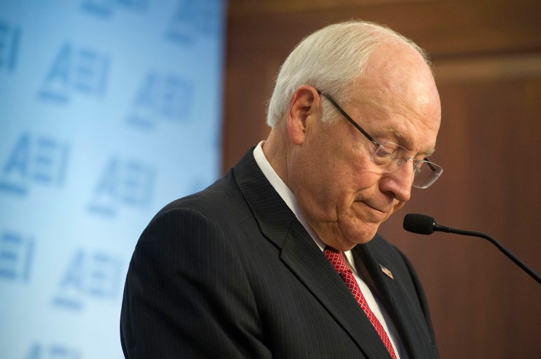 Cheney went on to say that he believed a more targeted and nuanced approach to vetting was needed to effectively identify potential terror threats. (AP Photo/Cliff Owen)
