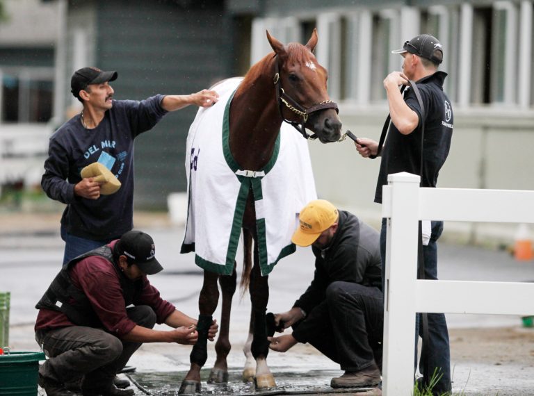   Trainer Doug O'Neill, lower right, kneels to tape the leg of I'll Have Another after a workout, Monday, June 4, 2012 at Belmont Park in Elmont, N.Y. The Kentucky Derby and Preakness winner goes for horse racings Triple Crown in the Belmont Stakes on Saturday. (AP Photo/Mark Lennihan)  