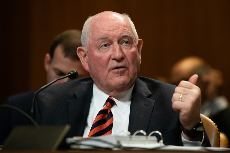 Agriculture Secretary Sonny Perdue testifies on Capitol Hill, Thursday, April 11, 2019, during a Senate Agriculture, Rural Development, Food and Drug Administration and Related Agencies Subcommittee on the FY2020 budget request for the department of Agriculture. 