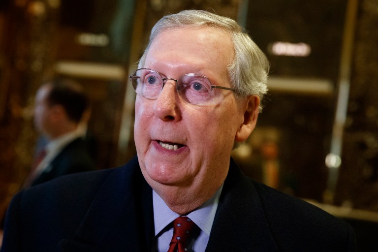 Senate Majority Leader Mitch McConnell introduced his wife, Transportation Secretary nominee Elaine Chao, at her hearing before the Senate Commerce Committee Wednesday. (AP Photo/Evan Vucci)