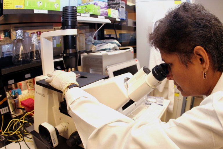 President Obama has said he will sign the bill, that gives new funding to NIH and the FDA. (AP Photo/Caleb Jones)