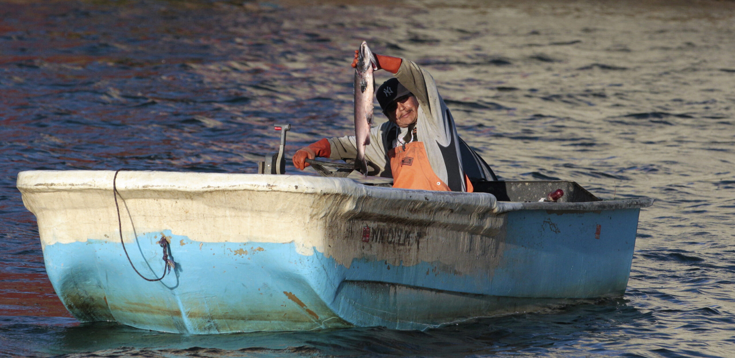Unions join fight over Washington fish consumption