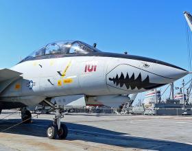 Iran Claims to Overhaul Grounded F-14s