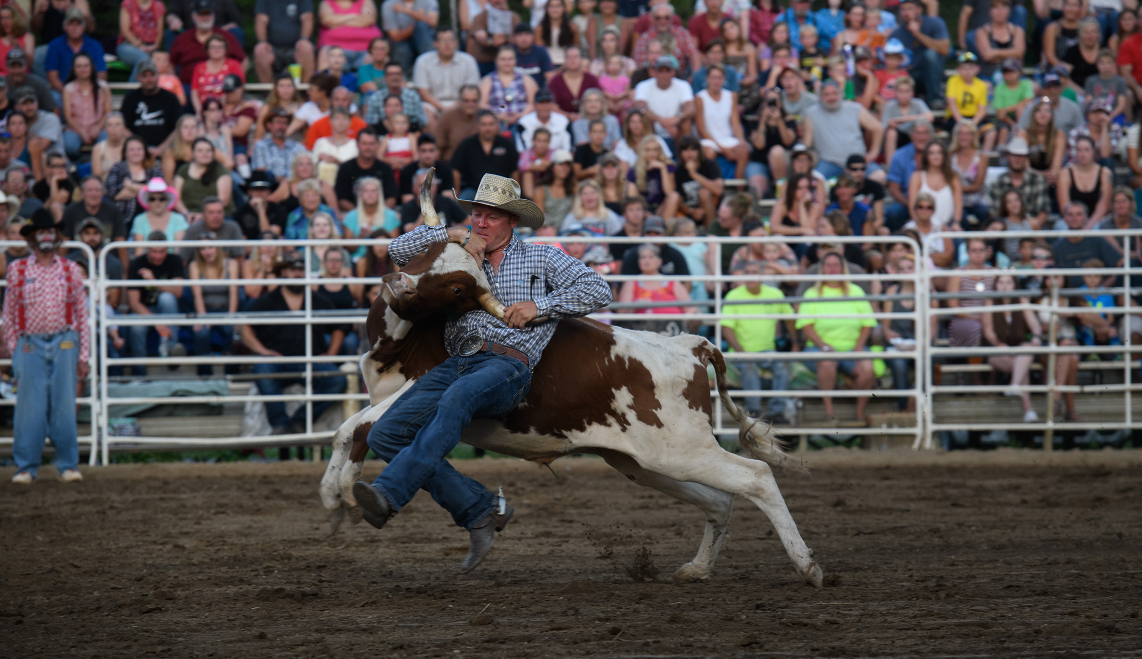 Bulls, horses, competition, and camaraderie — without the selfies