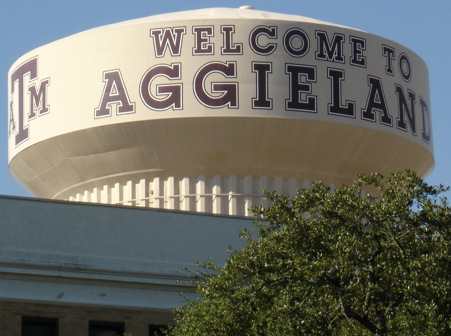 Texas A&M adopts ‘yes means yes’ consent policy
