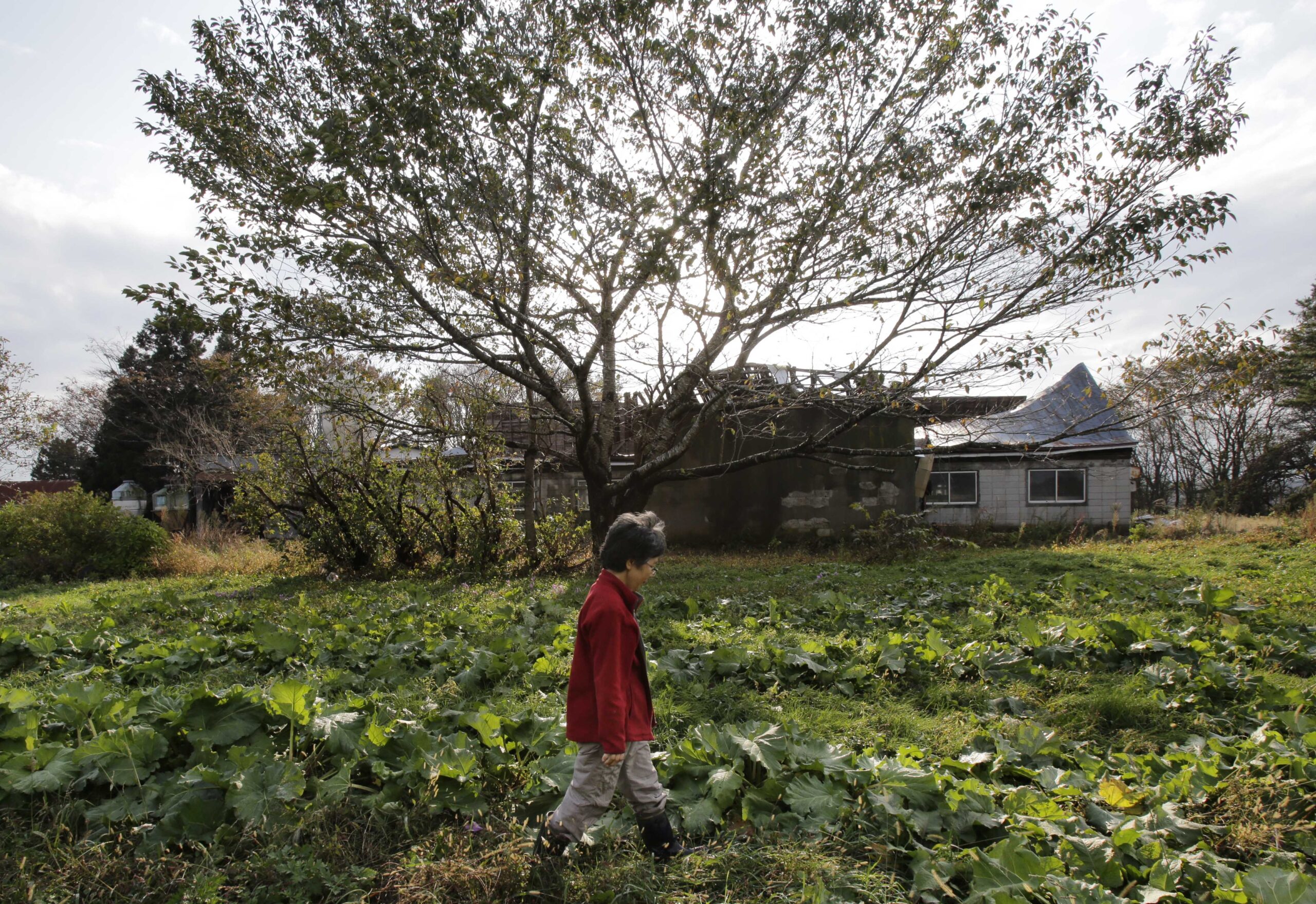 Nowhere to use Japan’s growing plutonium stockpile