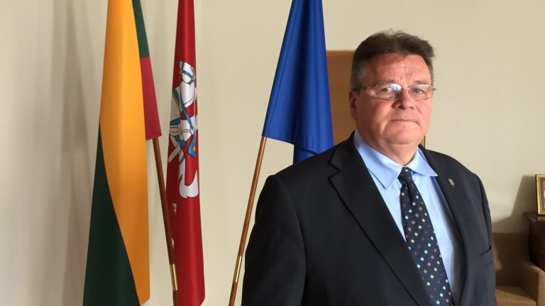 Lithuanian Foreign Minister Linas Linkevicius told the Washington Examiner that his nation did not choose to be a leader in the pro-democracy effort in Belarus, but it cannot stand idly and watch the human rights violations and oppression across its border.