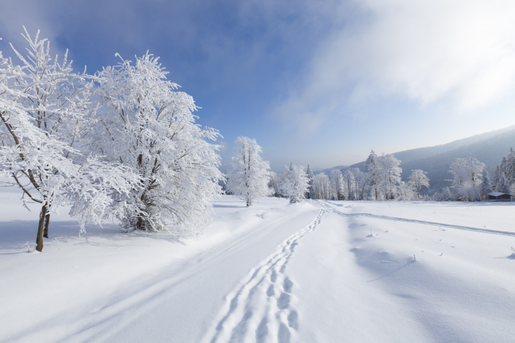 Snow management meeting in D.C. in August