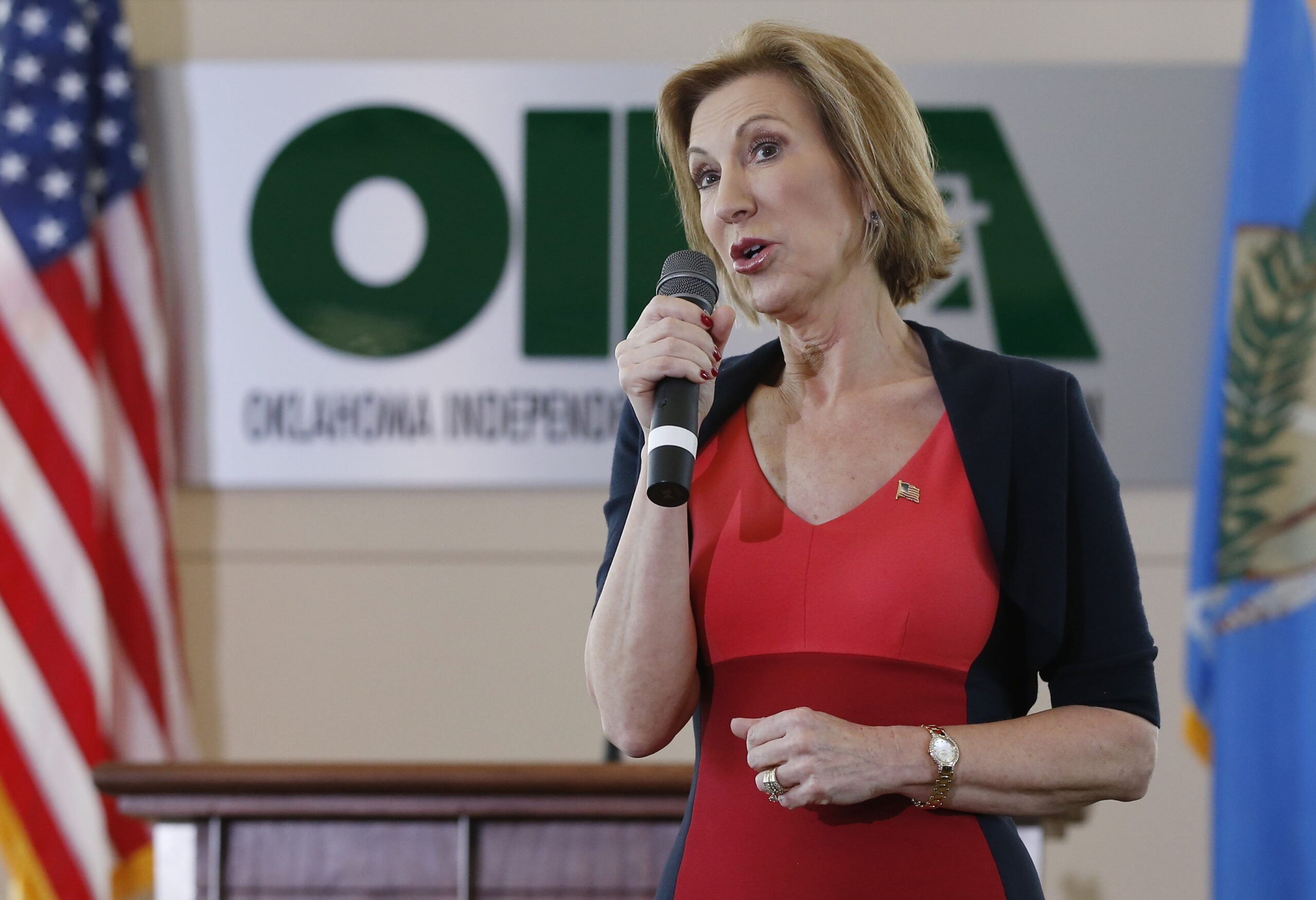 Fiorina: Washington ‘really quite technophobic’