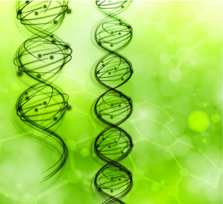 Plant DNA markers help the Pentagon detect counterfeit electronics in the military supply chain