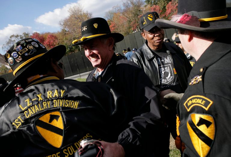 Survivors of the Battle of Ia Drang greet each other during a Veterans Day ceremony at the Vietnam Veterans Memorial on the National Mall November 11, 2005 in Washington. (Photo by Brendan Smialowski/Getty Images)