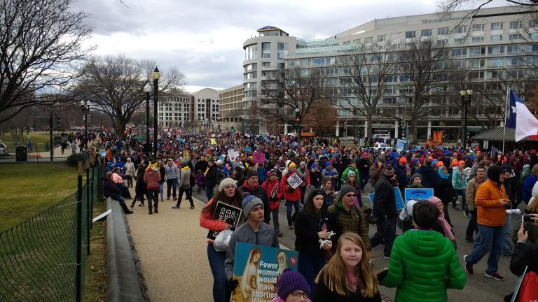 The poll by Quinnipiac University was released the same day as the annual March for Life, a gathering of tens of thousands of anti-abortion activists that featured remarks from Vice President Mike Pence. (Mairead McArdle/Washington Examiner)