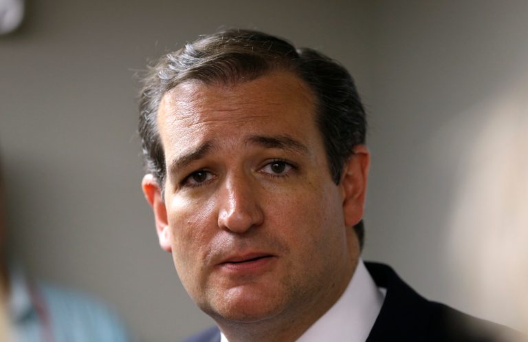 Sen. Ted Cruz, R-Texas, speaks to local residents during a fundraising picnic for the Iowa Republican Party on July 19 in Des Moines, Iowa. (AP Photo/Charlie Neibergall)