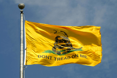 New York town removes flag as ‘offensive’ Tea Party symbol