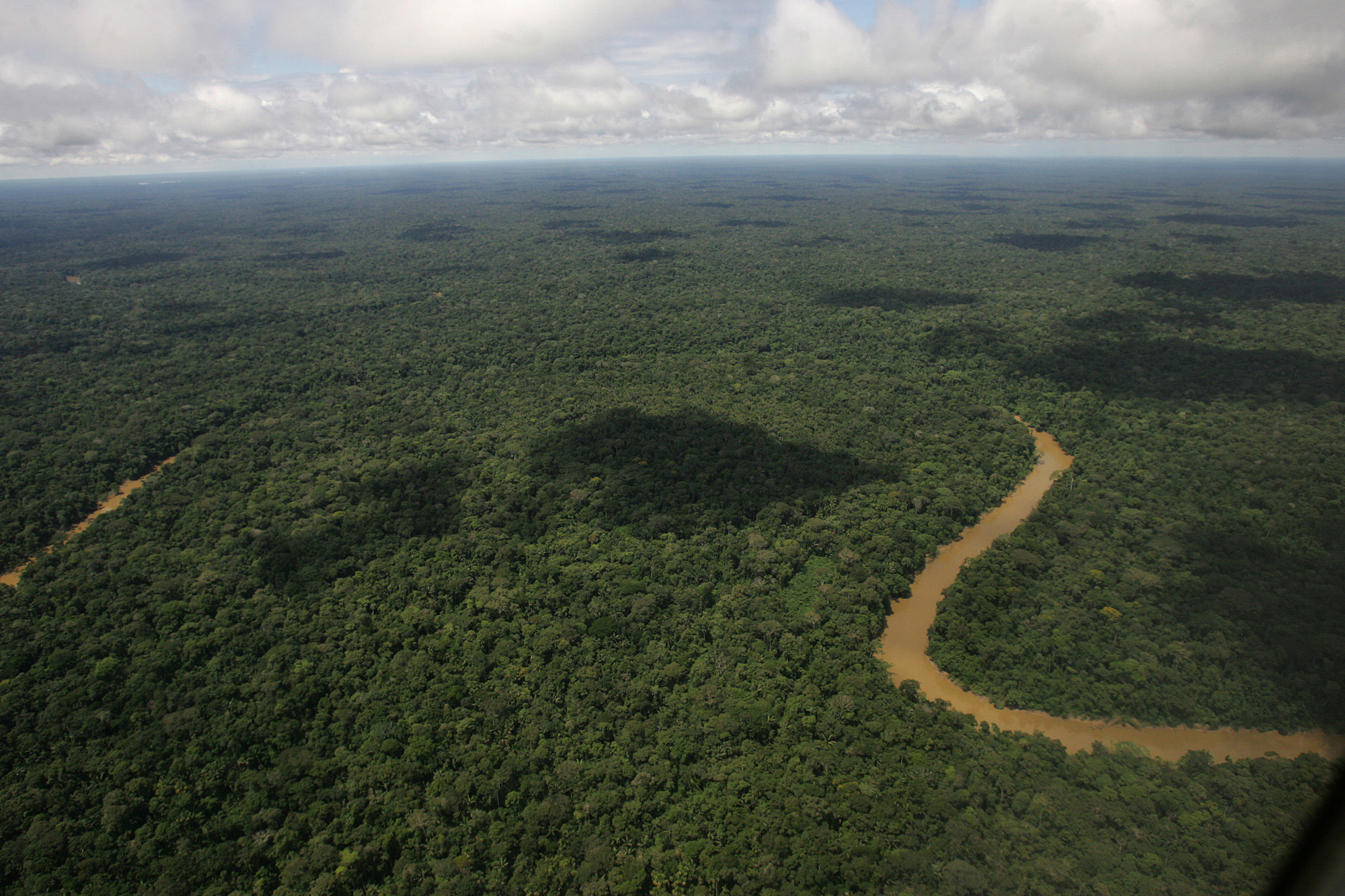 Ecuador issues permit to drill in Amazon reserve