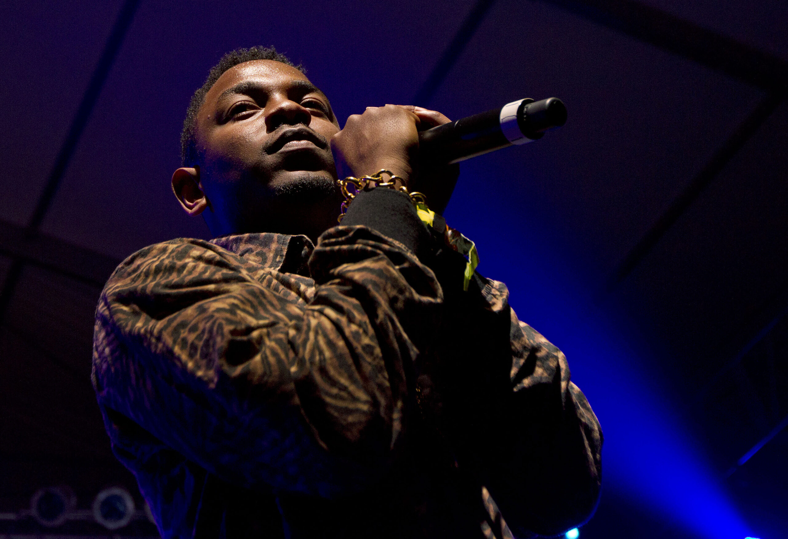 Rising rapper Kendrick Lamar lights up Bonnaroo