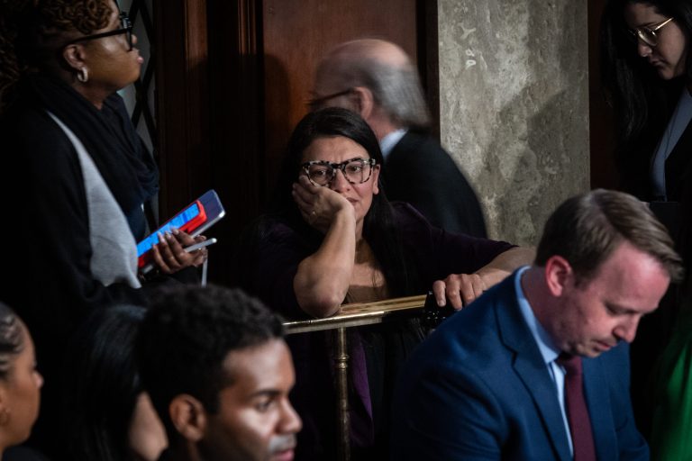 Rep. Rashida Tlaib (D-MI).