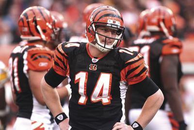 Bengals: Northern exposure
