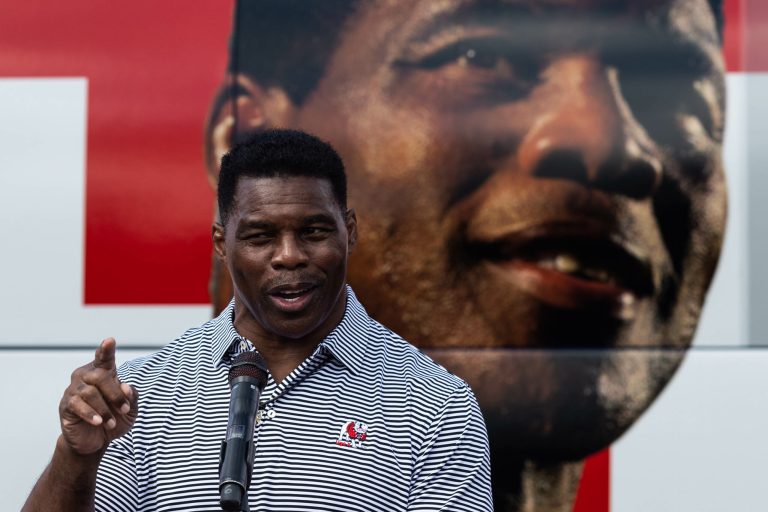 Senate candidate Herschel Walker speaks at a campaign rally, in Hiram, Georgia, Sunday, Nov. 6, 2022.