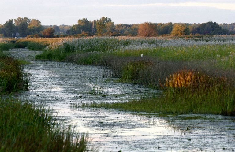 The EPA says the Clean Water RuleÂ would protect streams and wetlands that impact water quality and would more precisely define waters protected by the Clean Water Act.Â (AP Photo/Paul Sancya, File)