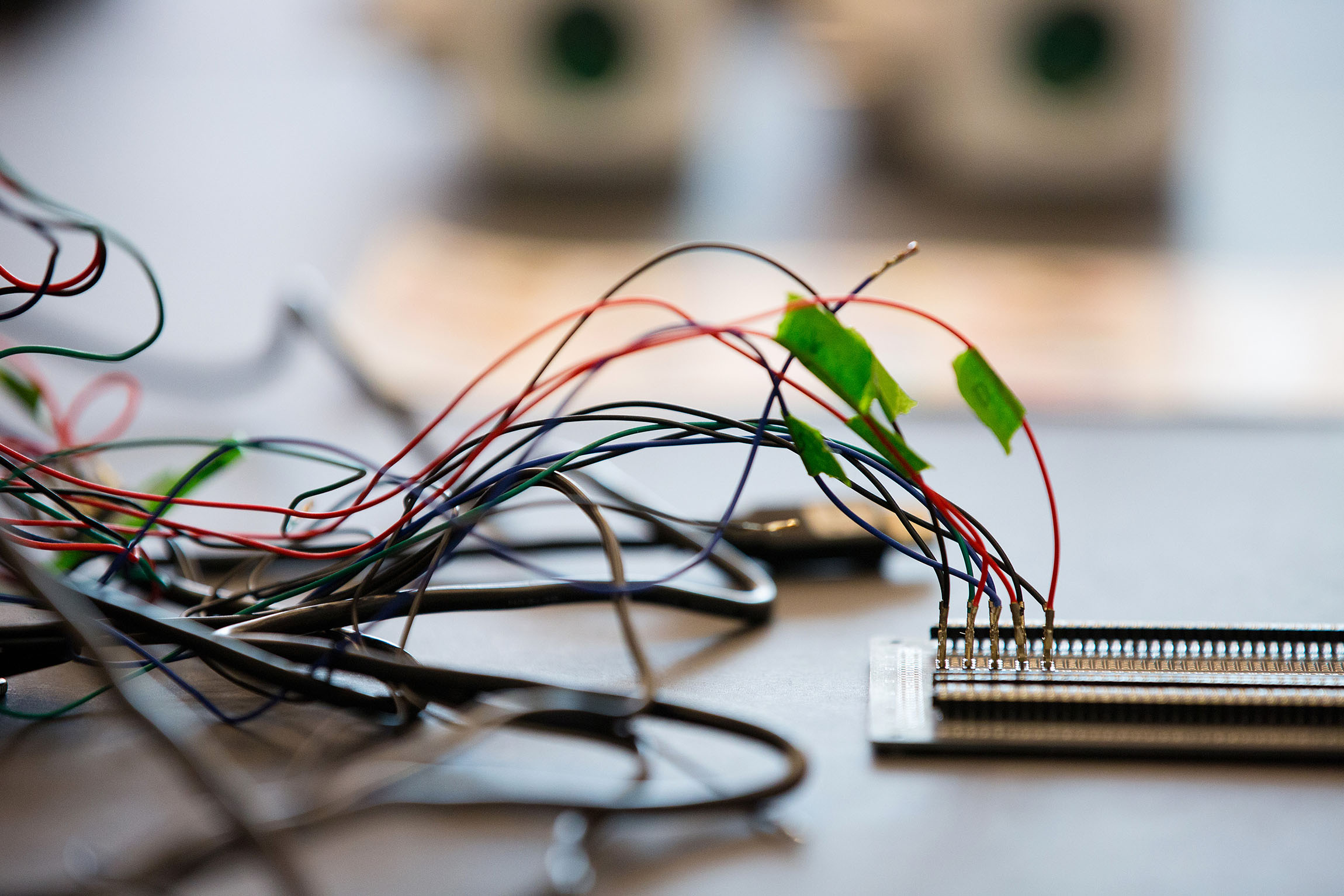 What our broken immigration system means for one member of the DC tech economy