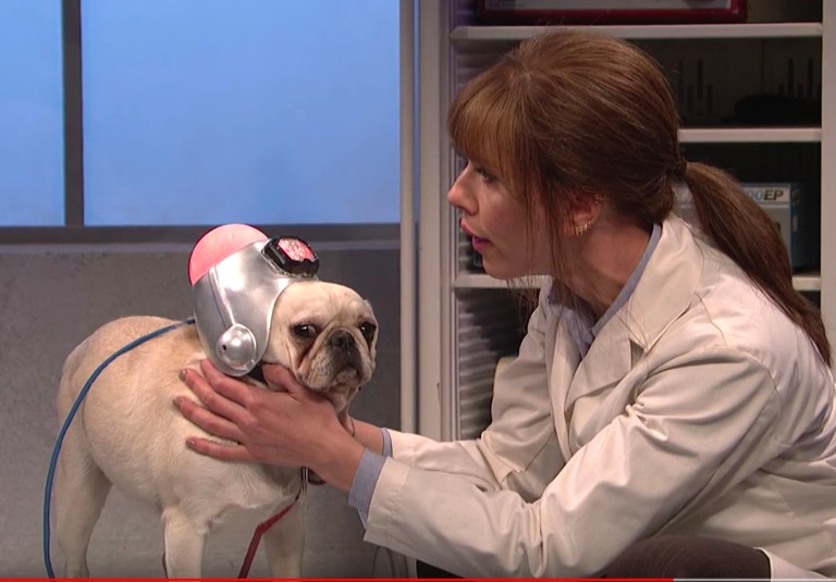 SNL juxtaposed the outlook of an average Trump supporter with the intolerance of the president's critics. (Screengrab/Saturday Night Live YouTube)