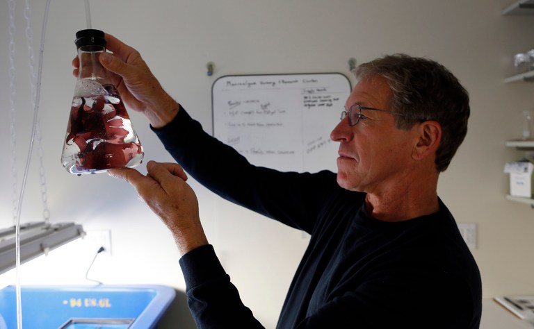 The goal is to get the 2016 campaign talking about major issues in science, engineering and health, the groups said. (AP Photo/Robert F. Bukaty)