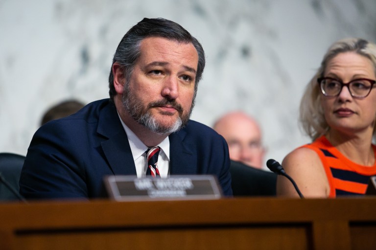 Ted Cruz: ‘Trying to silence’ Candace Owens recalls ‘ugly’ Democratic party history with blacks