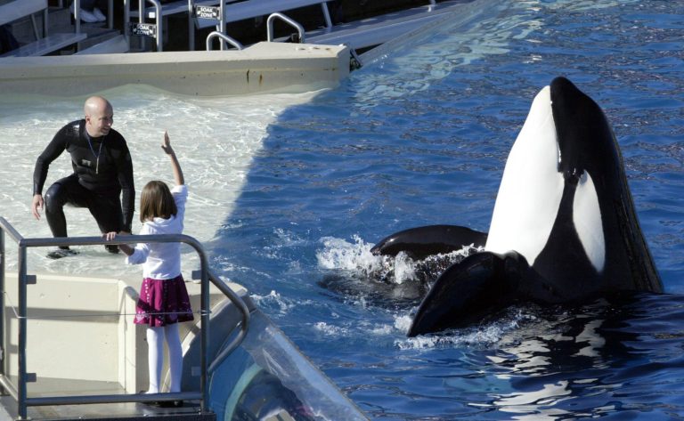 SeaWorld announced that it would allow part-time employees to work no more than 28 hours per week, rather than the 32 hours previously permitted. (AP File)