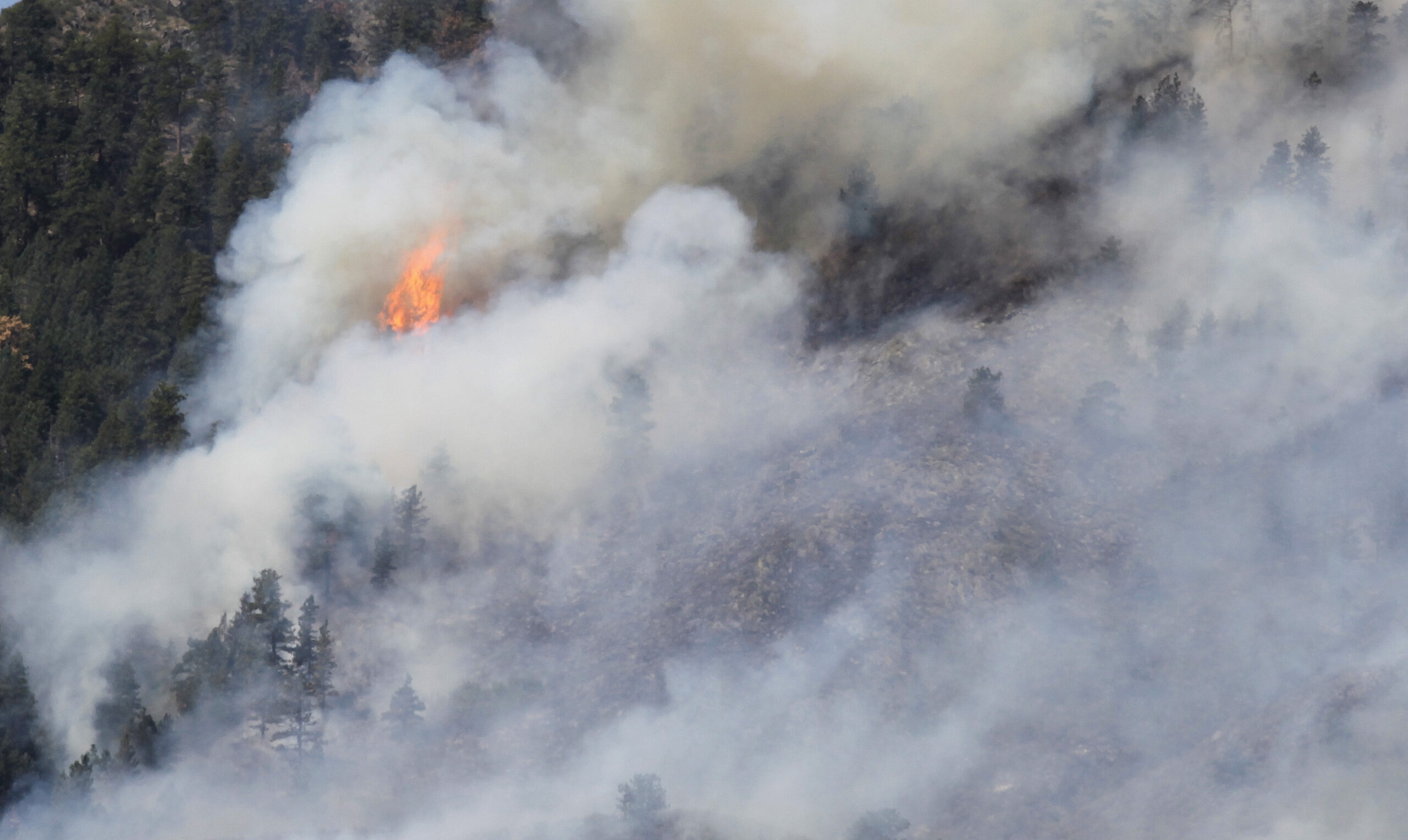 Firefighters make progress on Colo., NM wildfires