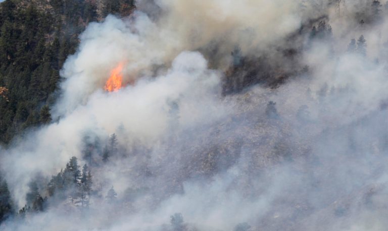   Fire burns through trees on the High Park wildfire near Fort Collins, Colo., on Monday, June 11, 2012. The wildfire is burning out of control in northern Colorado, while an unchecked blaze choked a small community in southern New Mexico as authorities in both regions battled fires Monday. (AP Photo/Ed Andrieski)  