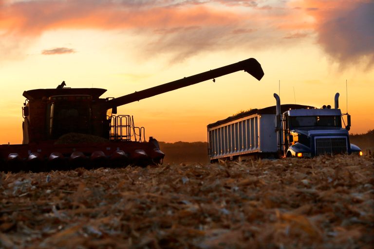 In this Saturday, Sept. 27, 2014, with rain storms in the forecast, central Illinois corn farmers race against the setting sun while harvesting this year's crop of corn in Pleasant Plains, Ill. The U.S. Department of Agriculture says wet weather has turned Illinois' corn harvest into a slog. The USDA says that last week's heavy rainfall across much of Illinois has kept many growers across the state from bringing in their crop. (AP Photo/Seth Perlman)