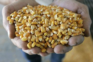 Ethanol folks get rich messing up the economy