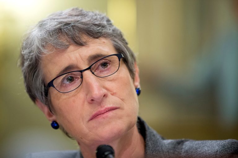 Interior Secretary Sally Jewell's real job will be to get Big Green's influence out of her department. (AP File)